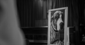 Funeraria estrenará capilla para mascotas con velatorio de can Dolores Esperanza