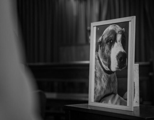 Funeraria estrenará capilla para mascotas con velatorio de can Dolores Esperanza