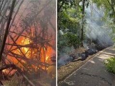 Aumenta riesgo de incendios en pastizales en varias regiones