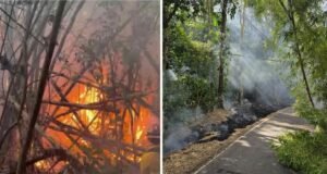 Aumenta riesgo de incendios en pastizales en varias regiones