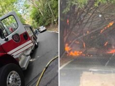 Alcalde de San Germán sospecha mano criminal tras siete incendios forestales