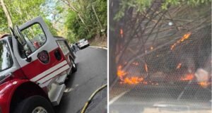 Alcalde de San Germán sospecha mano criminal tras siete incendios forestales