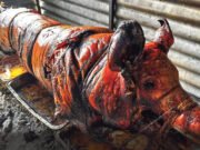 Cerdo del país intenta sobrevivir