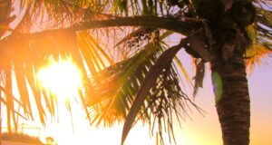 Brisa tropical aumenta los índices de calor a tres dígitos