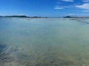 Restaurarán las Salinas de Cabo Rojo