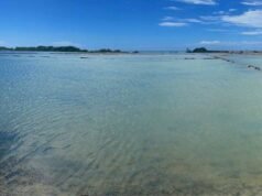 Restaurarán las Salinas de Cabo Rojo