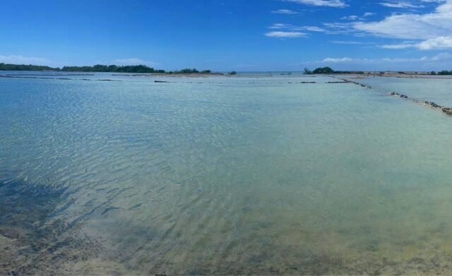 Salinas-Cabo Rojo3