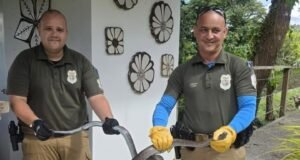 DRNA recibe 99 animales capturados durante el fin de semana