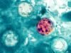 CDC investiga posible vínculo entre brote de ciclosporiasis y restaurantes Taco Bell