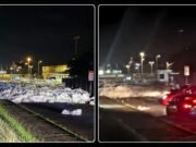 Investigan derrame de sustancia en carretera de Aguadilla