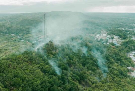 Fuegos forestales mantienen en alerta a San Germán ante alto riesgo de incendios