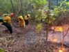 Riesgo elevado de incendios en la costa sur