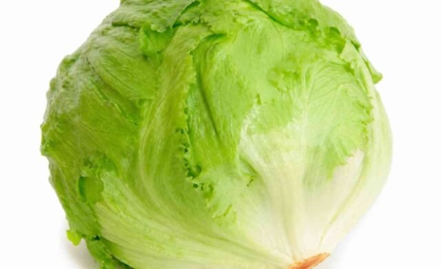 lechuga