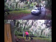 Buscan a mujer que abandonó perro frente a refugio