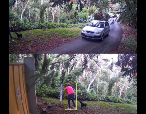 Buscan a mujer que abandonó perro frente a refugio
