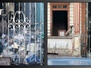 Amenazan la salubridad los perros realengos en Ponce
