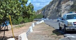 Colocan vallas para proteger tortugas en sector Las Cucharas
