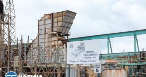 Cámara tiene ante su consideración Resolución para investigar contrato de generación temporera