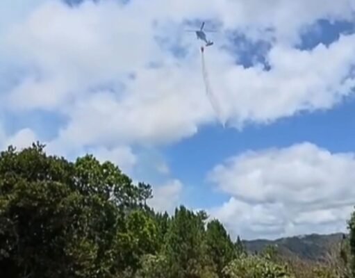 Activan Guardia Nacional para combatir incendio forestal en Cayey