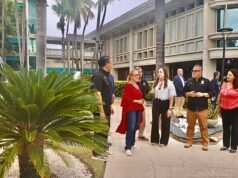 Modernización del Hilton Ponce Golf & Casino Resort costará $30 millones