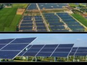 NEPR certifica finca que combina placas solares y actividad agrícola para que genere energía