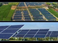 NEPR certifica finca que combina placas solares y actividad agrícola para que genere energía