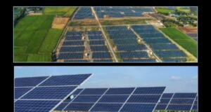 NEPR certifica finca que combina placas solares y actividad agrícola para que genere energía