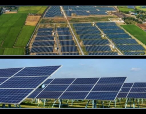 NEPR certifica finca que combina placas solares y actividad agrícola para que genere energía