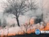 Cierran tramo de PR-53 debido a fuego de pasto