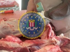 Acusan planta de ganaderos de descargar sangre y desperdicios animales al mar