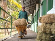 El sur se seca: la lucha por cada gota de agua