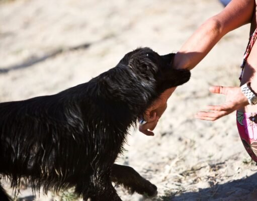 Perro muerde a joven y al que salió a ayudarla