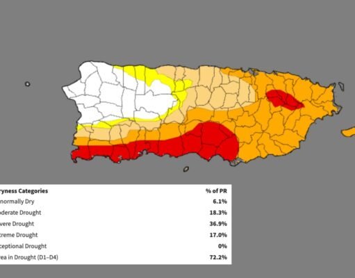 Sequía extrema se extiende en la región Sur