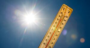 Advertencia de Calor con índice que rondan 110 °F
