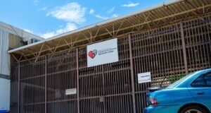 Ladrones visitan albergue de animales de Ponce