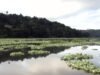 Cuerpo de Ingenieros autoriza remoción de sedimento de embalse Carraízo