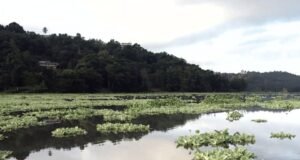 Cuerpo de Ingenieros autoriza remoción de sedimento de embalse Carraízo