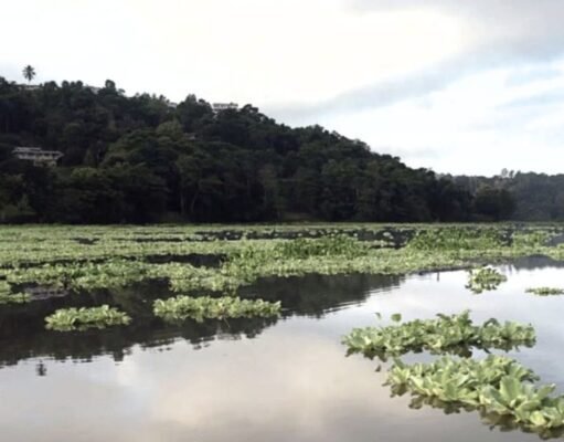 Cuerpo de Ingenieros autoriza remoción de sedimento de embalse Carraízo