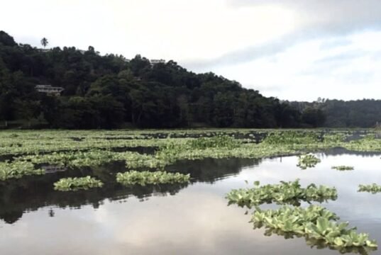Cuerpo de Ingenieros autoriza remoción de sedimento de embalse Carraízo