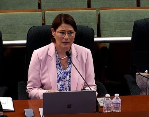 Exdirectora de la AEE califica de “tipo dictatorial” supervisión de Josué Colón