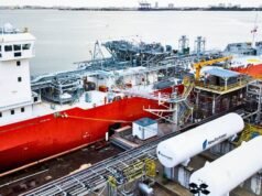 Sin evidencia de que el Amur River pueda atracar sin invadir canal federal