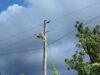 Asignan $25,000 para compra de focos solares en Peñuelas, Guánica, Lares y Ponce