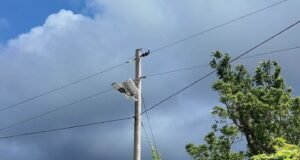 Asignan $25,000 para compra de focos solares en Peñuelas, Guánica, Lares y Ponce
