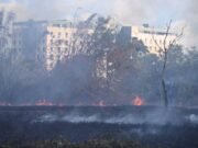 UPR activa medidas para prevenir y atender incendios forestales en terrenos del Jardín Botánico