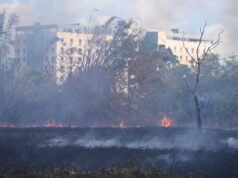 UPR activa medidas para prevenir y atender incendios forestales en terrenos del Jardín Botánico