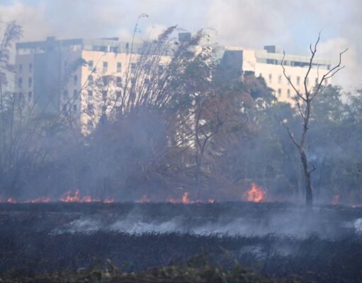 UPR activa medidas para prevenir y atender incendios forestales en terrenos del Jardín Botánico