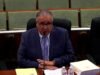 Osvaldo Carlo identifica figuras vinculadas a cabildeo de proponentes de generación temporera