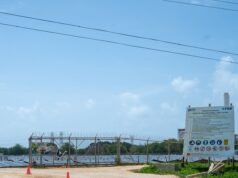 Próximos a utilizar parques solares Marahú