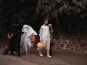 ACAA pide prudencia en noche de Halloween
