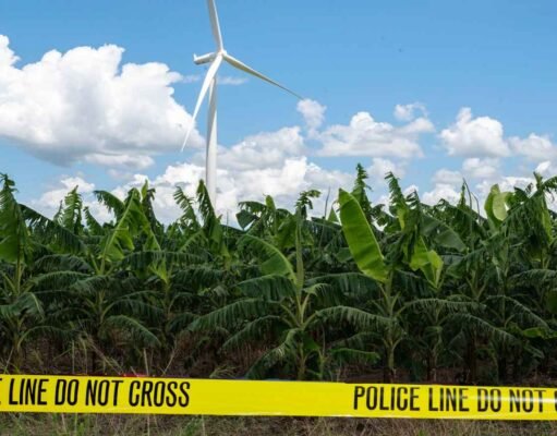 Activan protocolo de feminicidio en tragedia en finca de Santa Isabel